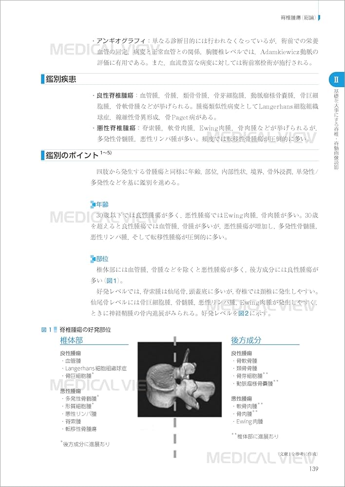 とにかく基礎から固める 脊椎の画像診断 | 稲岡 努 |本 | 通販 | Amazon