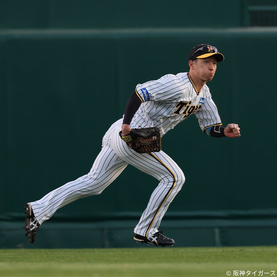 阪神タイガース『美品』中綿入りジャンパー(Rawlingsアシックス) 2026