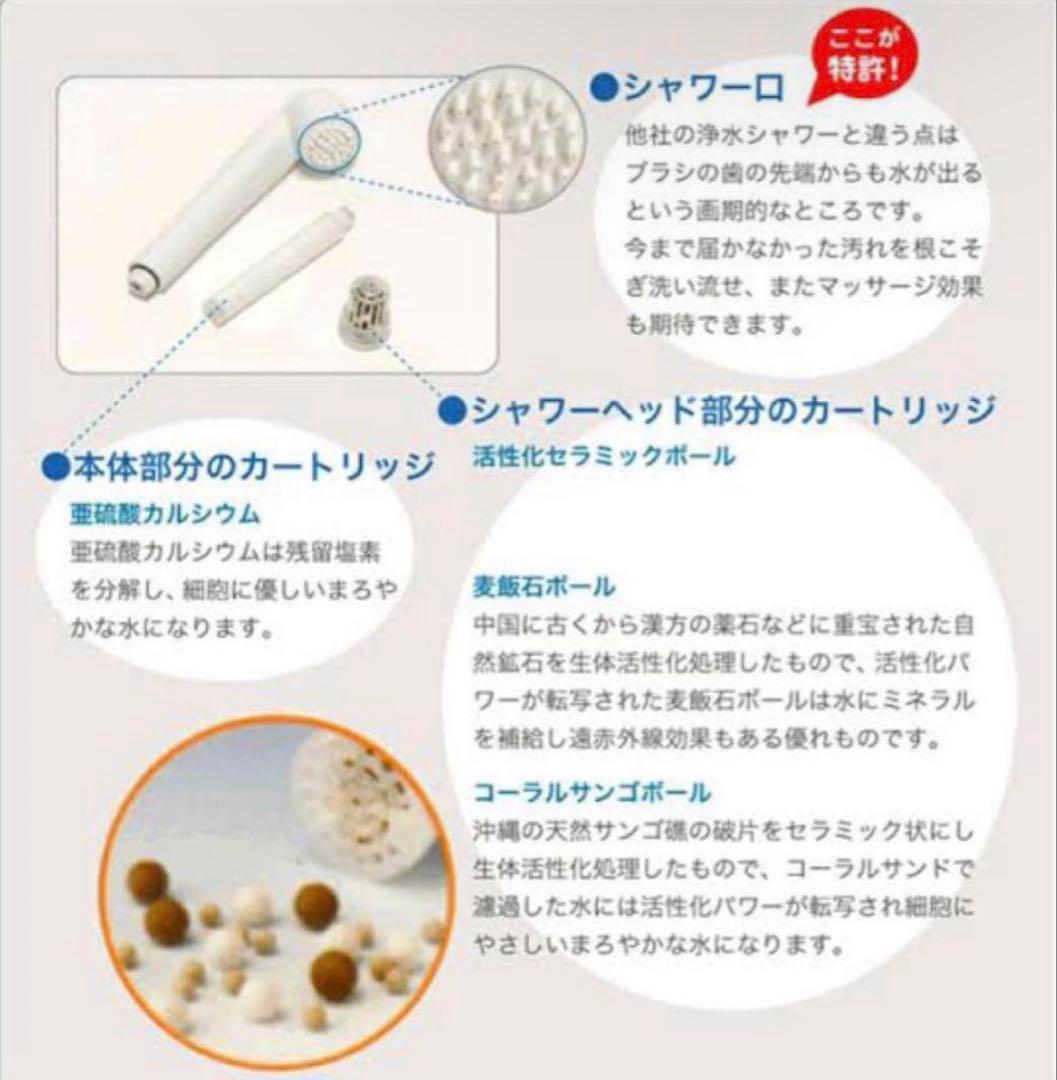 限会社ビビアン【ガイアの水135】 シャワー用カートリッジ - メルカリ